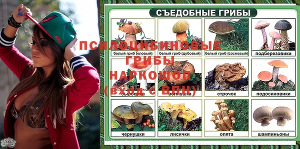 дживик Алзамай
