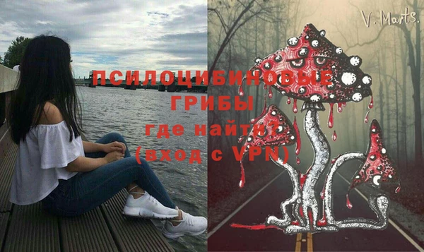 первитин Алексин